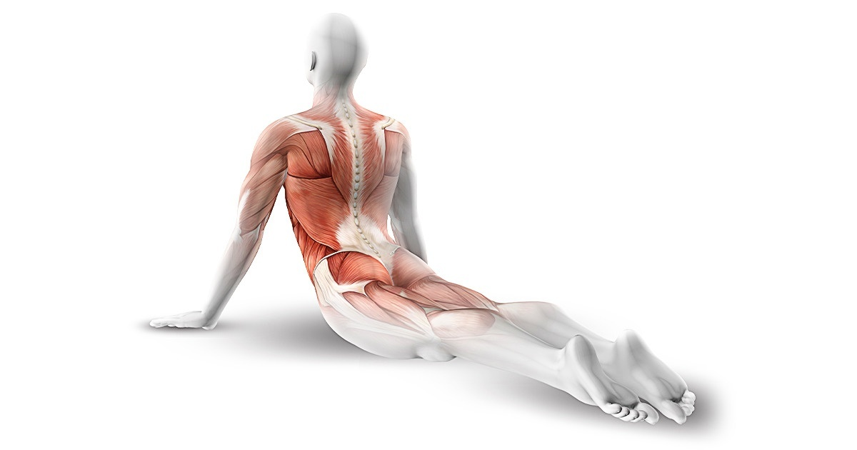 10 exerciții ușoare  care amelioreaza durerea de spate si ne tonifiaza abdomenul in acelasi timp