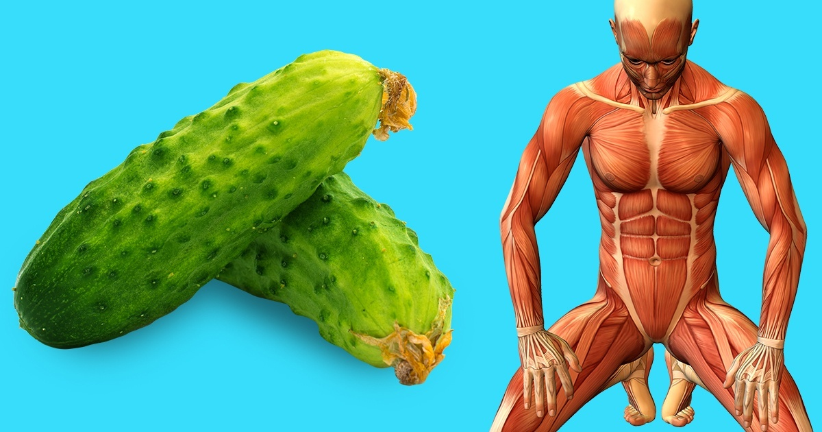 13 lucruri care se pot întâmpla in corpul dvs. dacă începeți să mănâncati un castravete pe zi