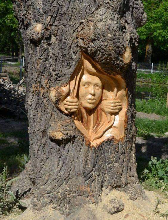 Folosind doar niste bucati de copac au reusit sa realizeze adavarate opere de arta!