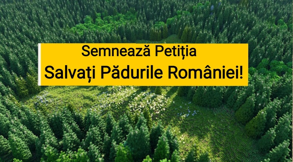 Salvați Pădurile României !