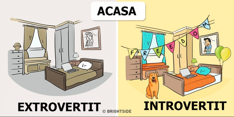 10 ilustrații care arată modul în care introvertiţii și extrovertiţii văd lumea. Voi in ce categorie sunteţi?