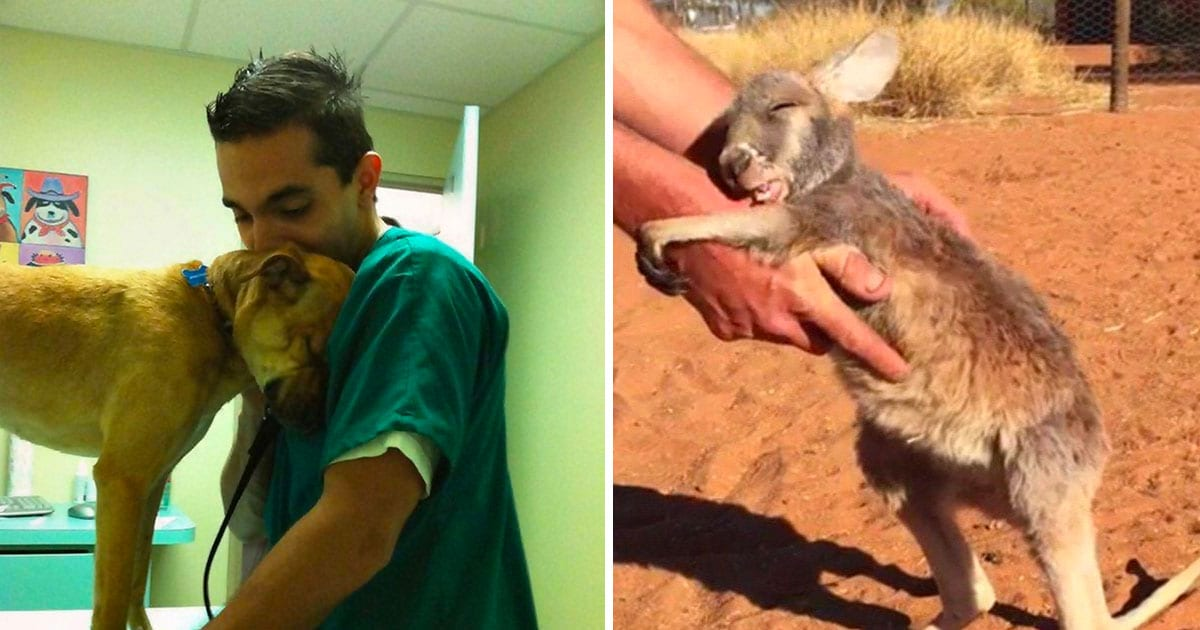 10 cazuri în care oamenii au salvat animale greu încercate şi au fost răsplătiţi într-un mod incredibil