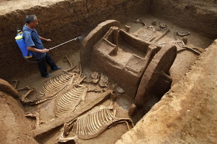 Aceste descoperiri arheologice pur accidentale  au uimit lumea