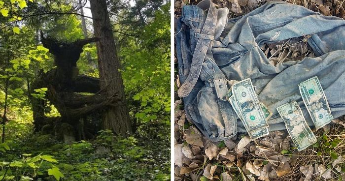 20 de lucruri foarte ciudate pe care oamenii le-au găsit în păduri și le-au împărtășit cu noi