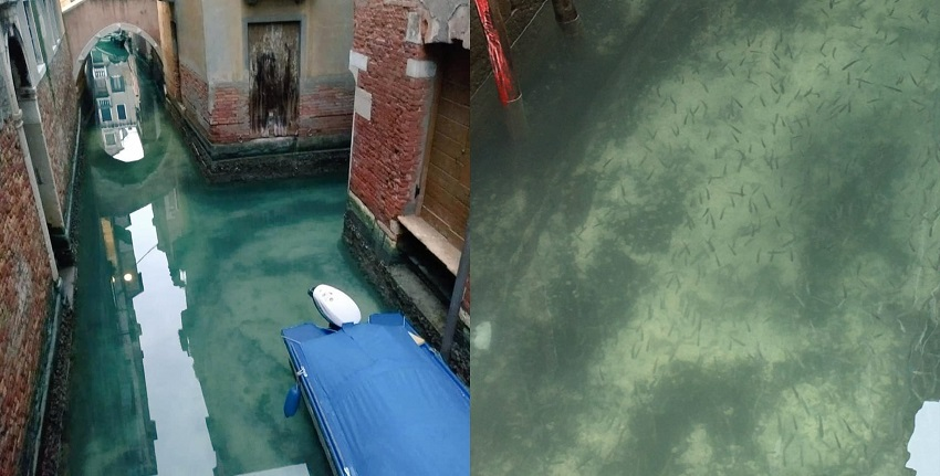 /FOTO VIDEO/ Pandemia de coronavirus a „curăţat” Veneţia de turişti, iar apa din canale a devenit cristalină