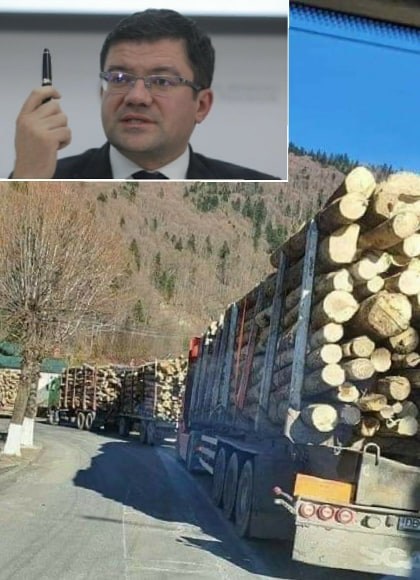 INCREDIBIL Ministrul Mediului REFUZĂ să interzică TĂIEREA pădurilor în stare de urgență, pe motiv că ar PREJUDICIA economia