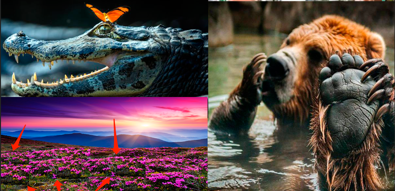 22 de imagini superbe în care natura ne arată tot ce are mai bun