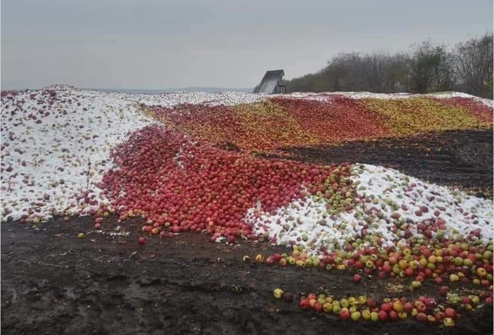 Tone de mere românești îngheață din cauza supermarketurilor straine care nu vor sa le preia