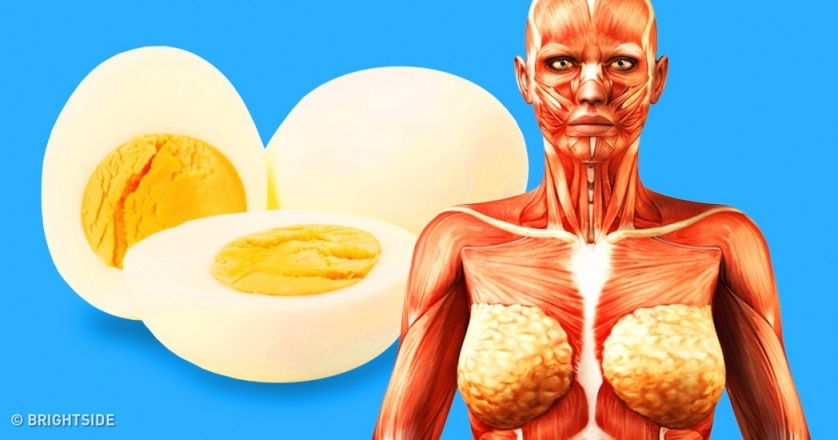 9 lucruri care se întâmplă în corpul tău dacă începi să mânânci 2 ouă pe zi