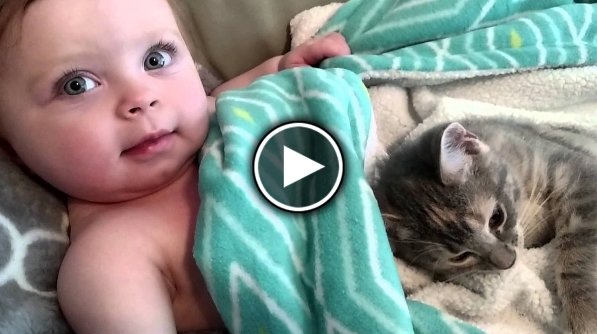 Bebelusul si aceasta pisica te va cuceri.. cel mai DRAGUT video care l-am vizionat pe net - VIDEO